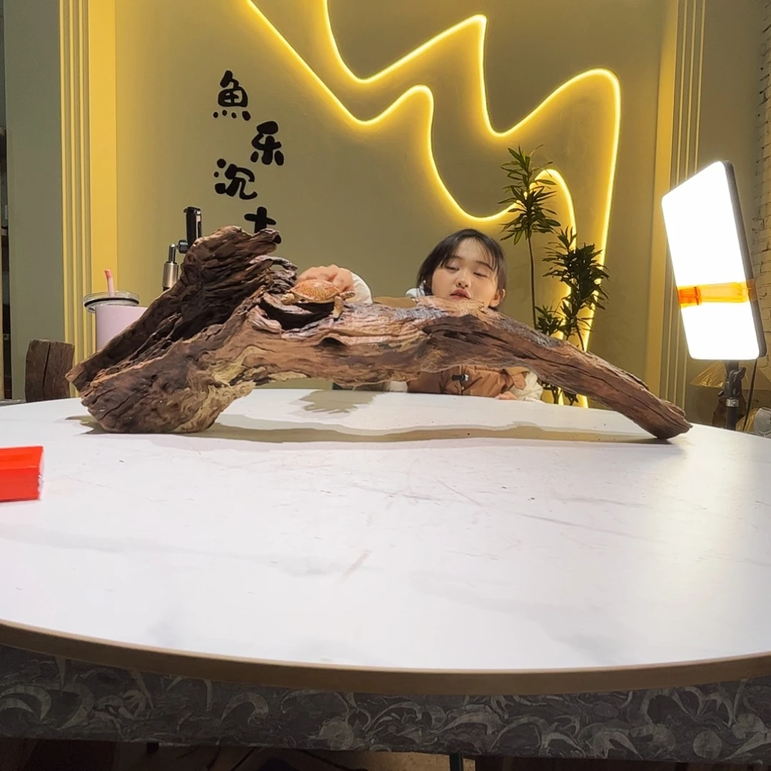 瓦当绒*会黄黑红水227。80 40 40