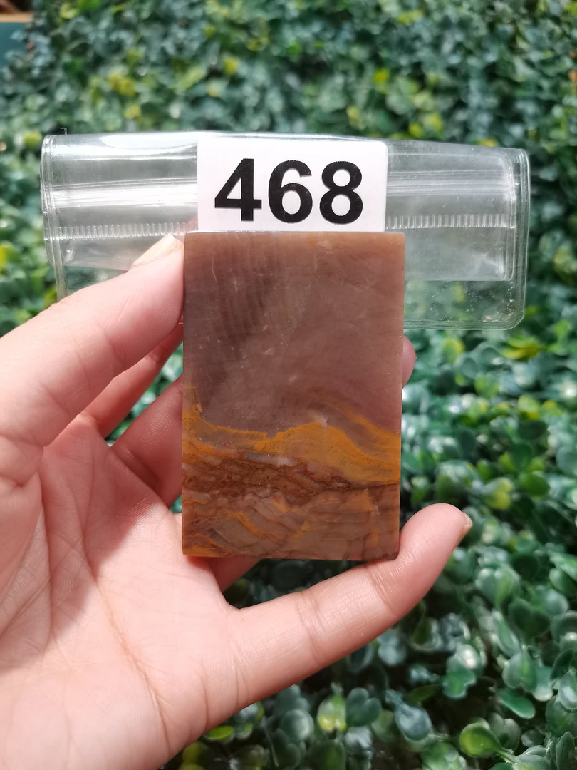 天然北票硅化玉牌子 长：66mm宽：44mm厚：9mm