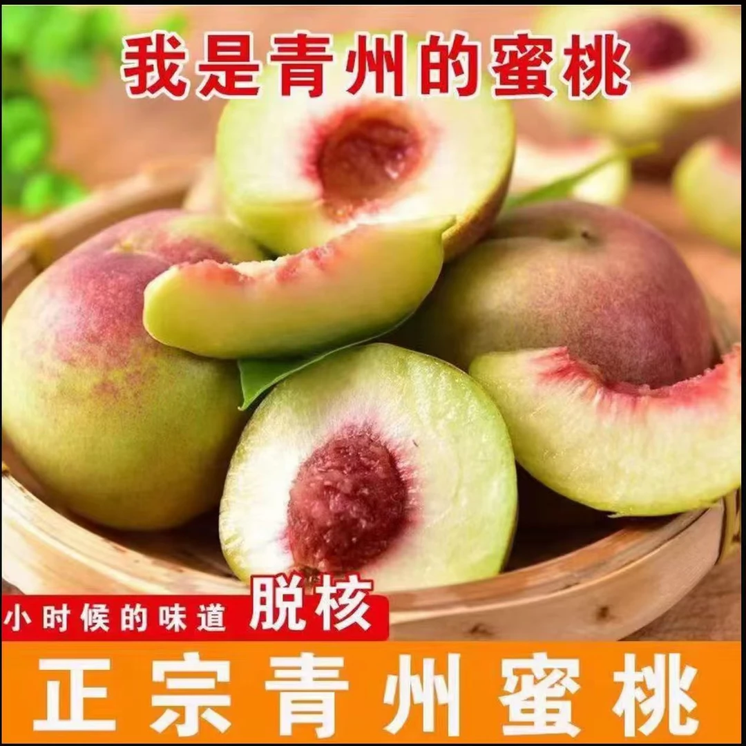 正宗山东青州蜜桃现摘新鲜应季水果脆甜离核山桃毛桃