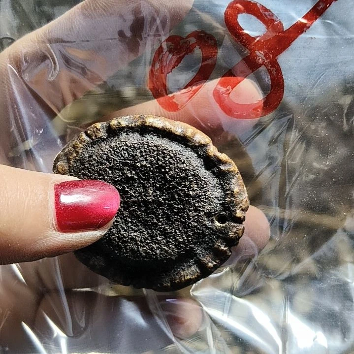 3***4鹿角鹿角鹿角鹿角鹿角鹿角