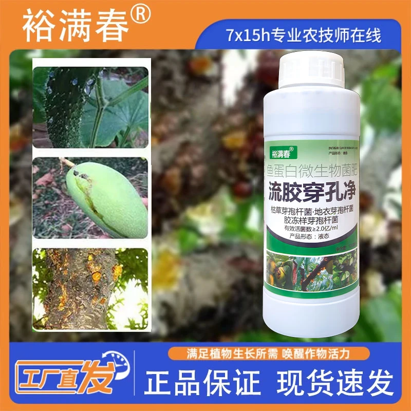 裕满春果树流胶适用于桃树李子杏树黄瓜的营养补充肥