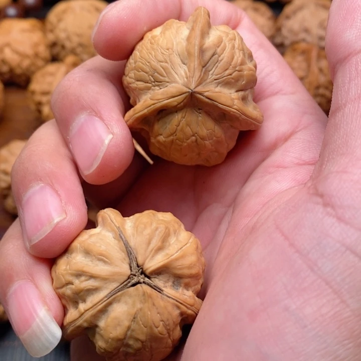 文玩核桃把件梦**樂核桃