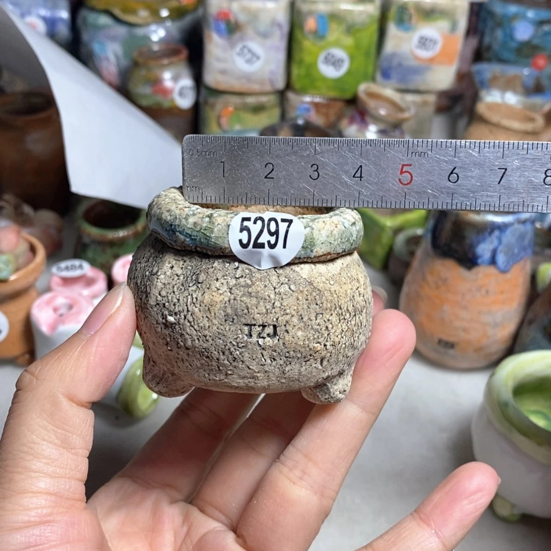 拍3送一个小礼物