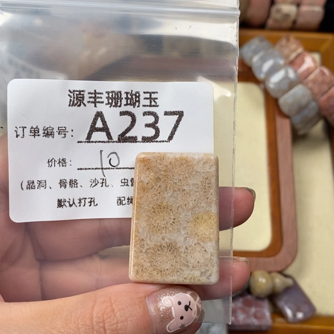 捡****未镶嵌颈饰硅化玉