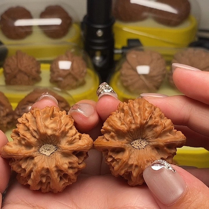 可***枫43凹底龙门涧