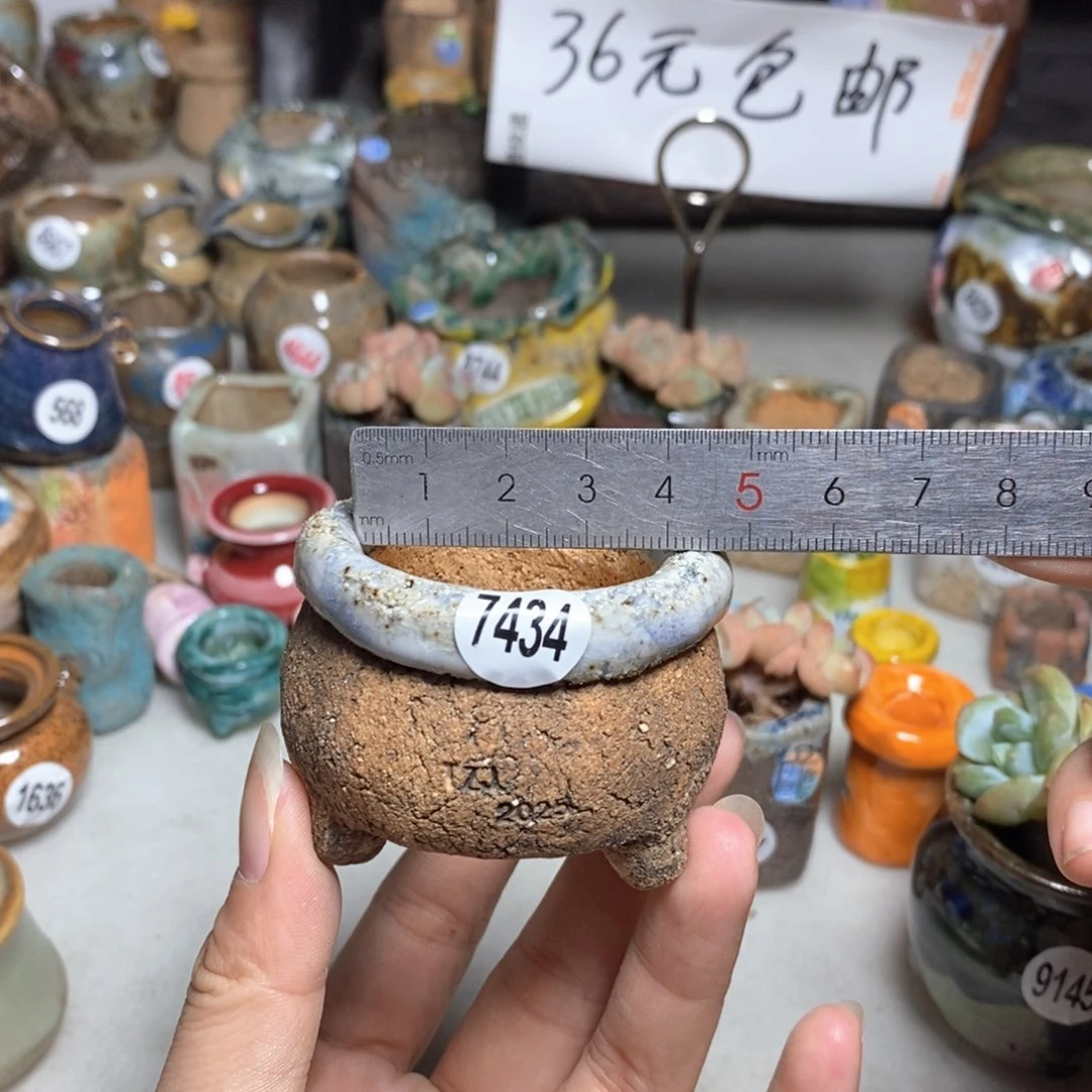 拍3送一个小礼物