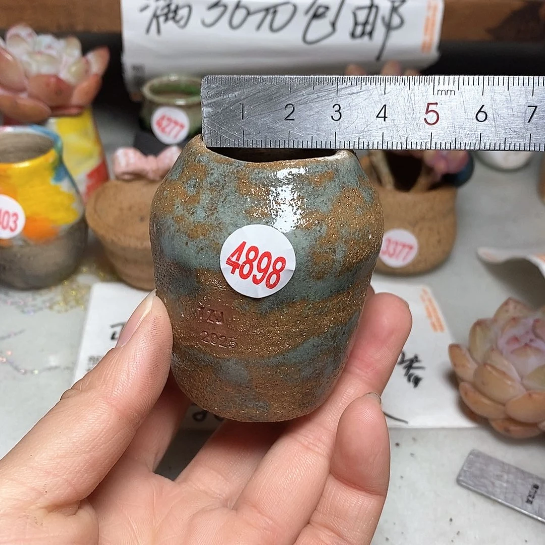 红陶拍5送一个小