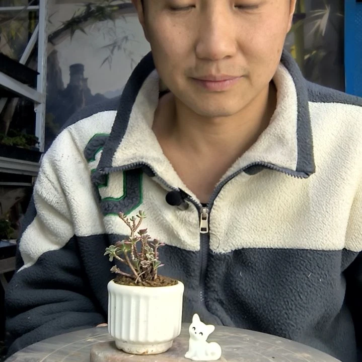 南***萬中青园艺一物一拍花127