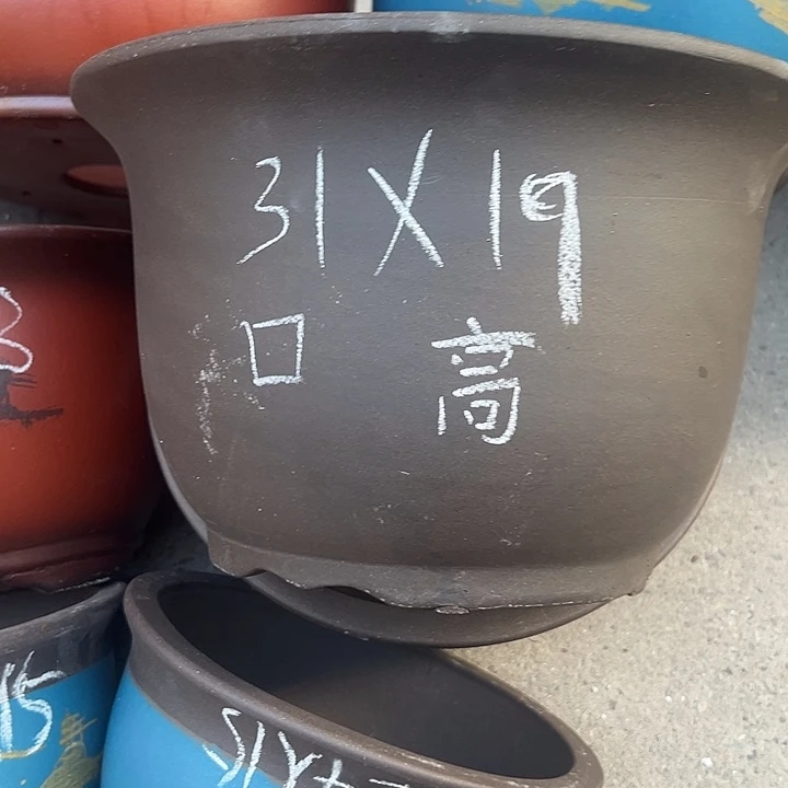周深周深周深周深
