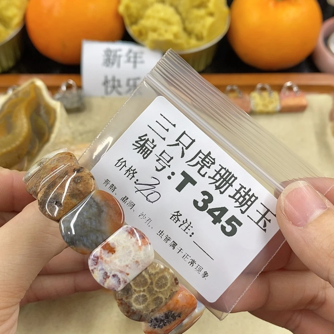 硅化珊瑚（珊瑚玉）1未镶嵌飘