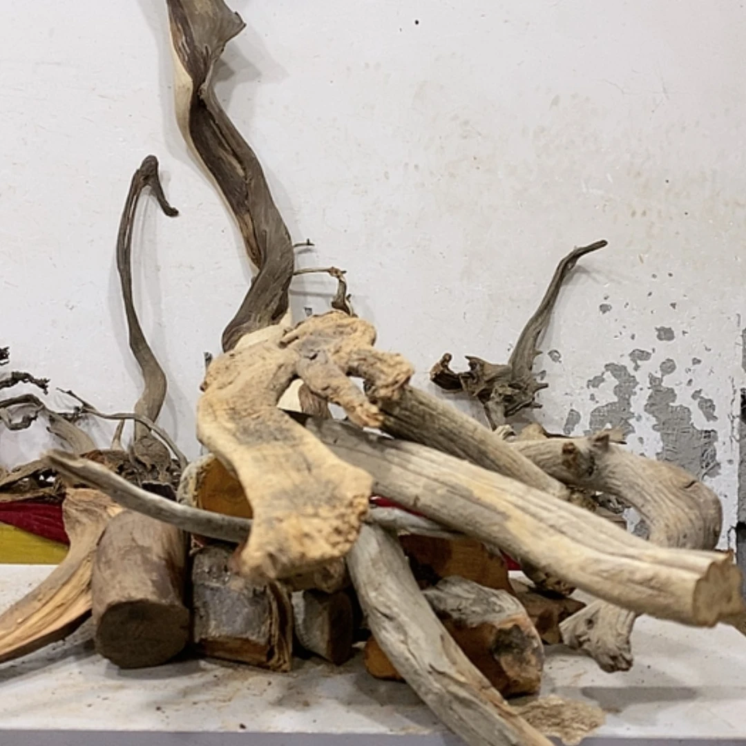 【闪购商品】柏木小*我们都是好孩子