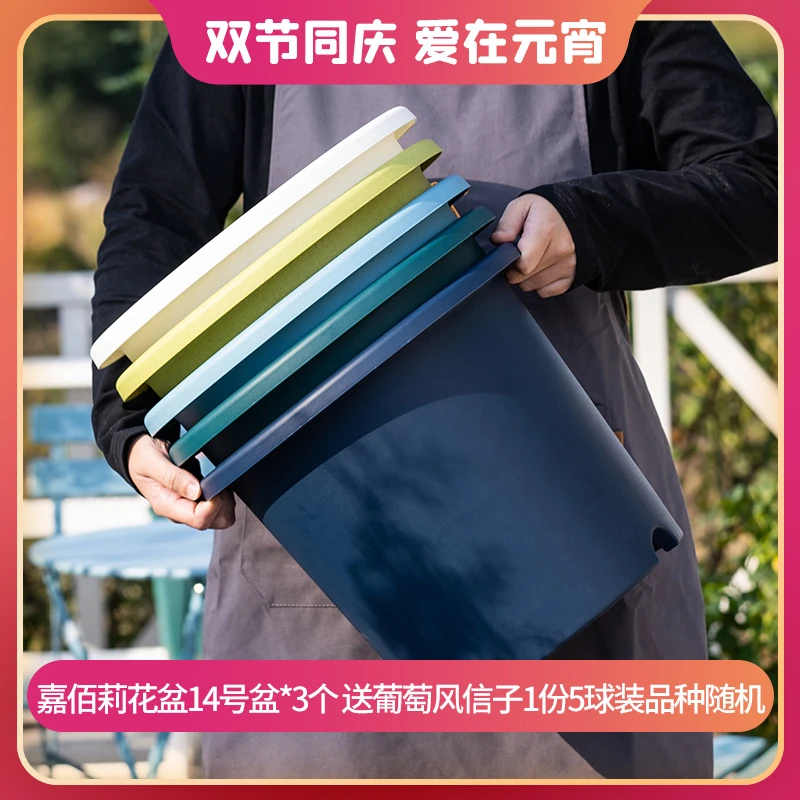 【LANG ROSA】 12号、14号花盆 透气透水防烂根植物通用花盆耐晒耐用