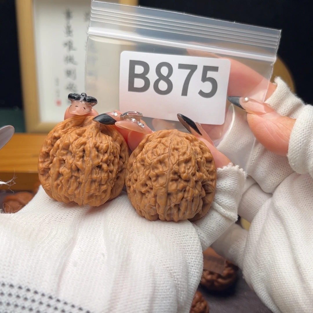 把件文玩核桃37蚂蚁王b875