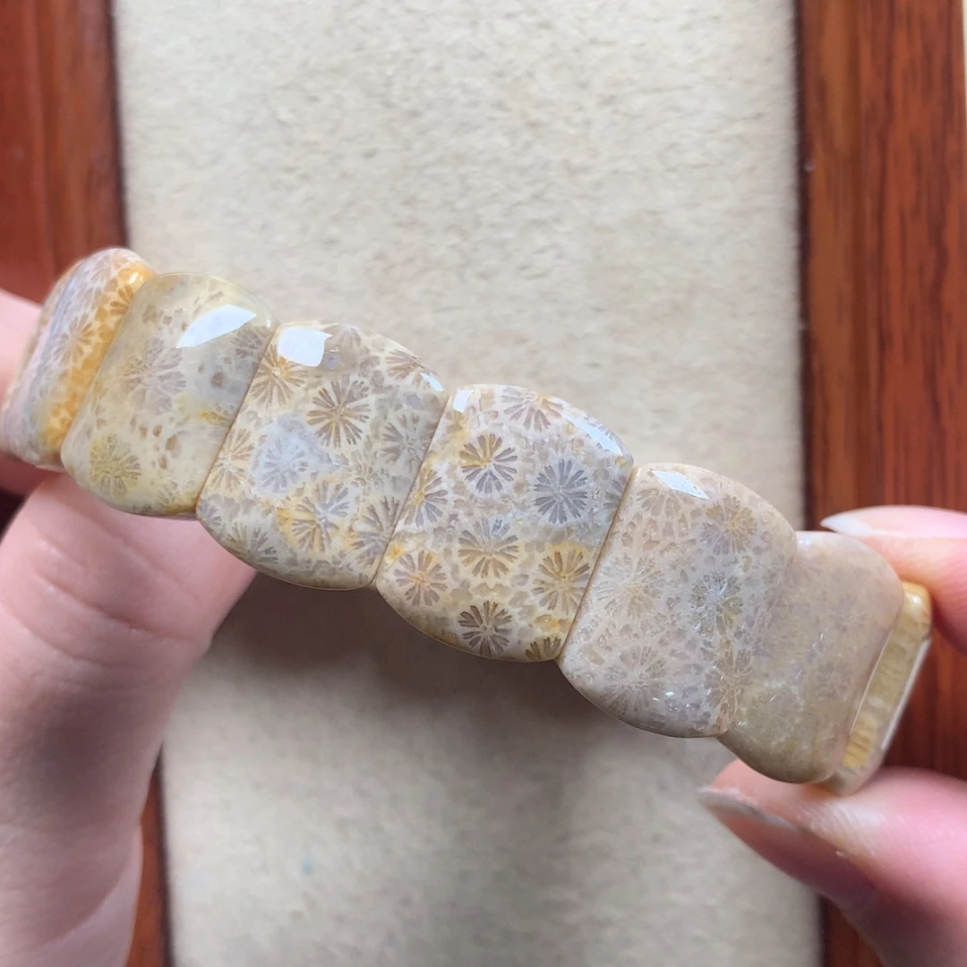 未镶嵌手排漏50/个。26硅化珊瑚（珊瑚玉）