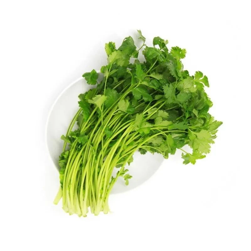 电商直采-香菜80g/份