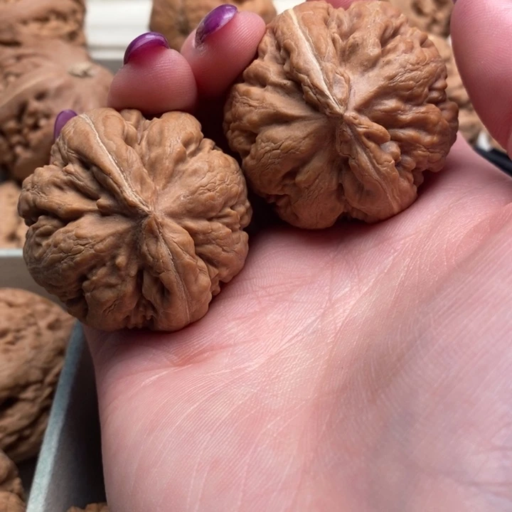 小***爪手串文玩核桃霸王龙