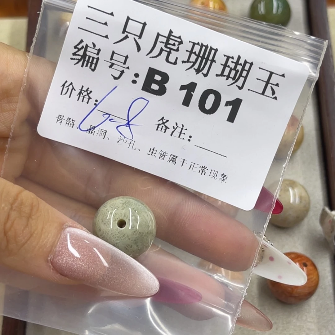 暴***走硅化珊瑚（珊瑚玉）h未镶嵌