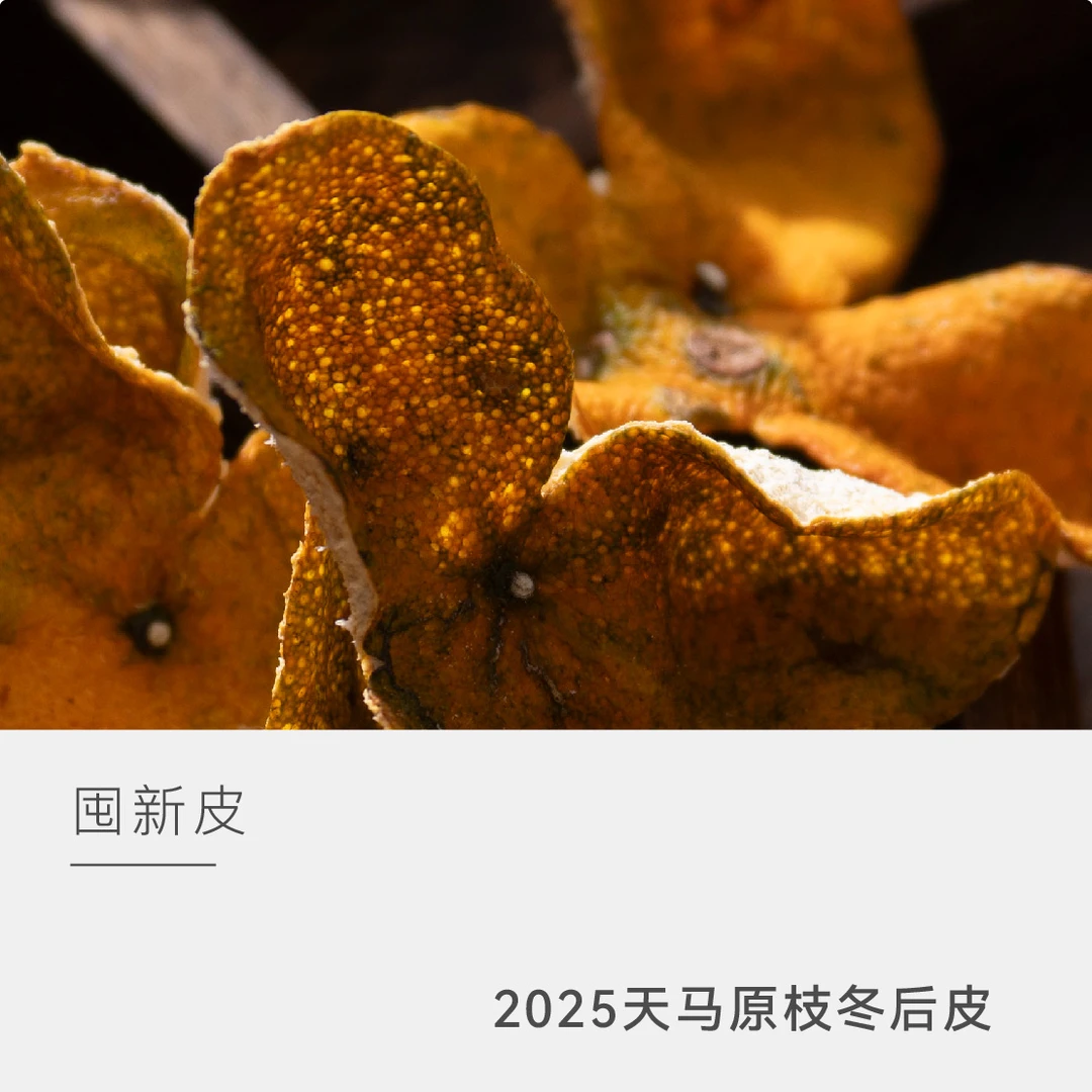 【囤皮福利】泓达堂 2025天马原枝冬后皮 免费三年仓储