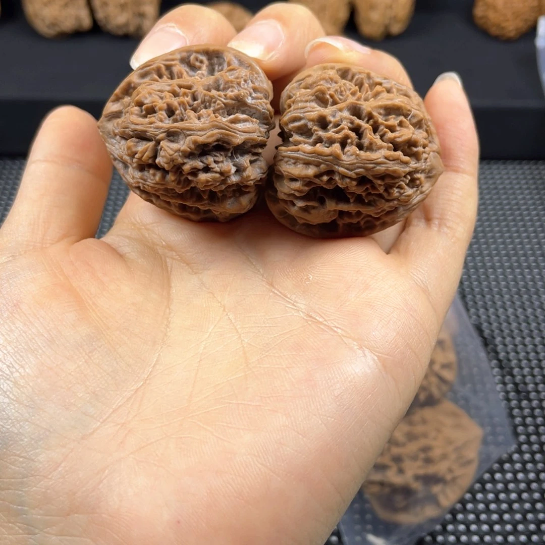 张*二秦岭神树秦闷小王