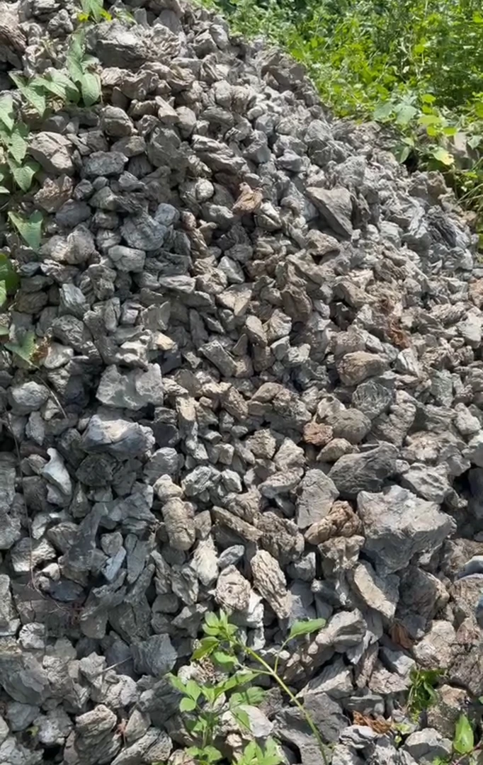 英德青龙石假山造景设计缸底石附树鱼缸摆件造景石