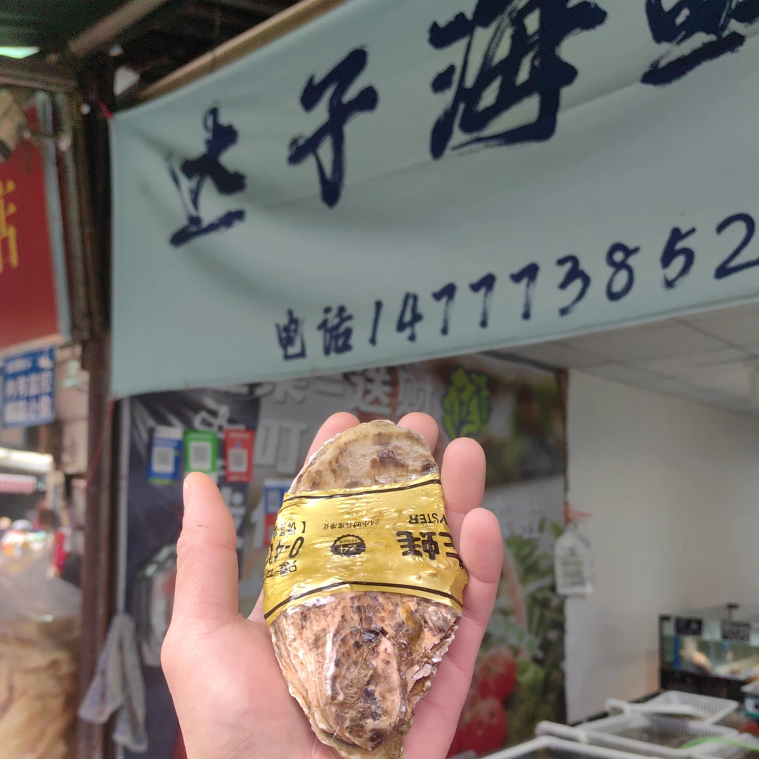4+乳山生蚝一元钱一个