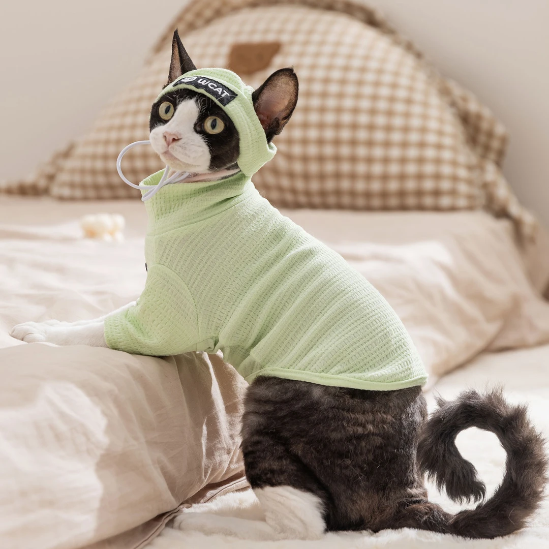 秋冬季韩系简约条纹猫咪打底衫宠物衣服德文猫无毛猫两脚衣服0526