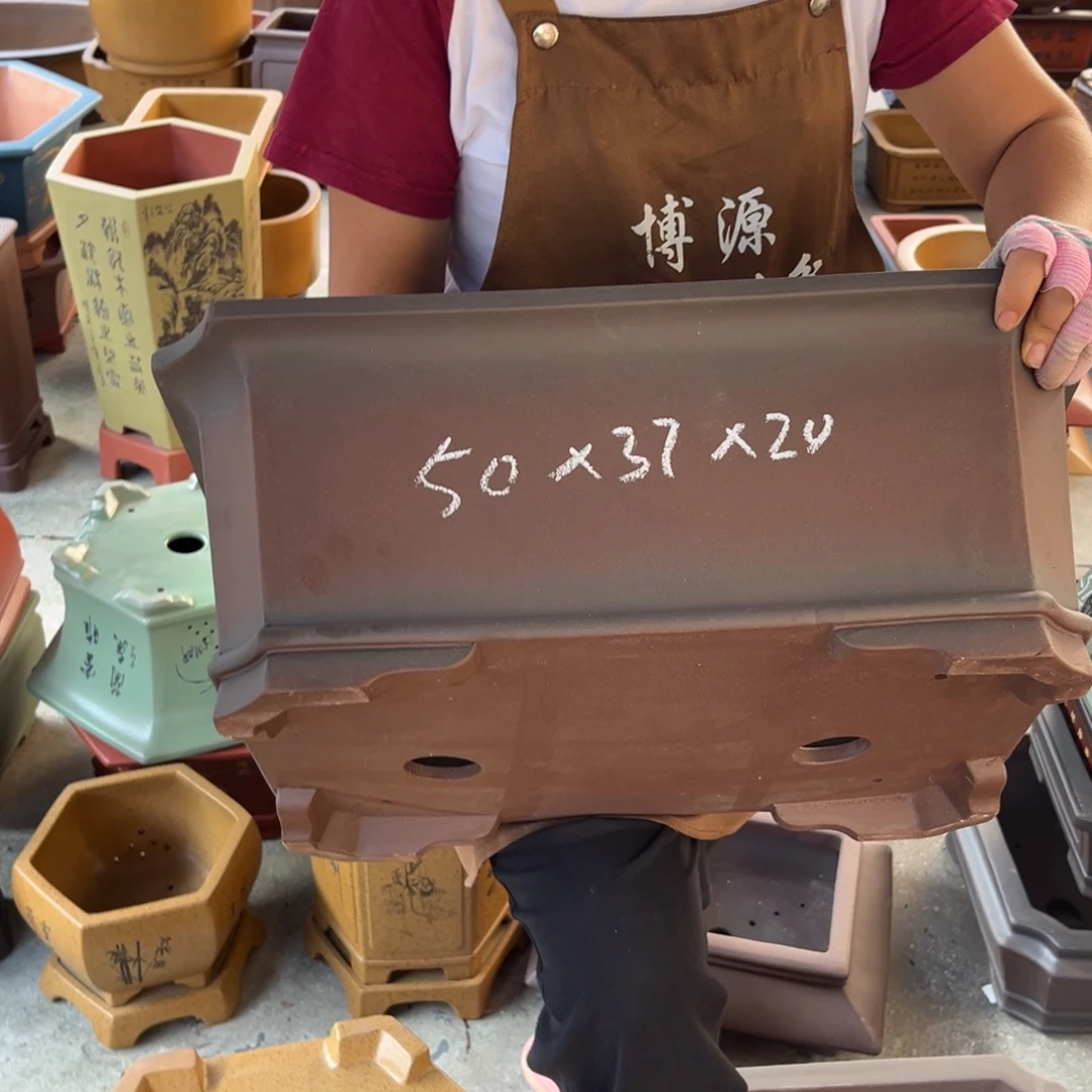 花盆紫砂盆景艺术