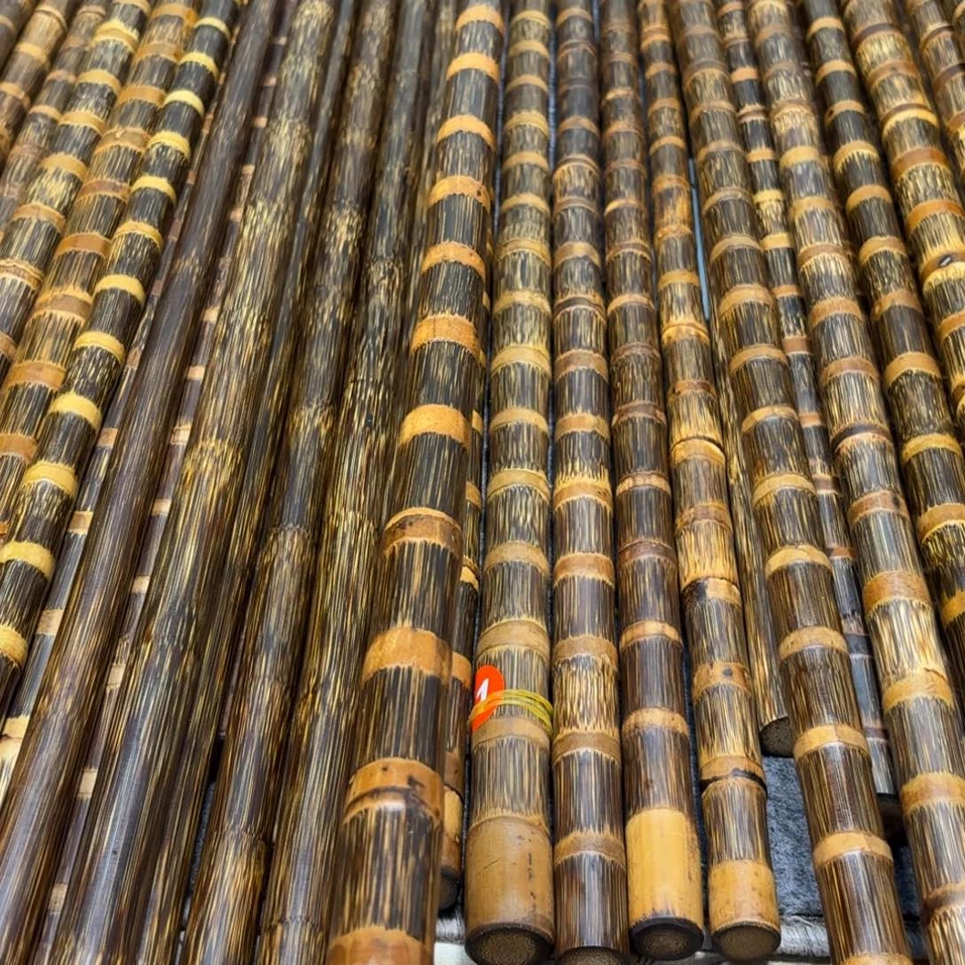 黑***行1.2米2.4左右精品高货实心竹