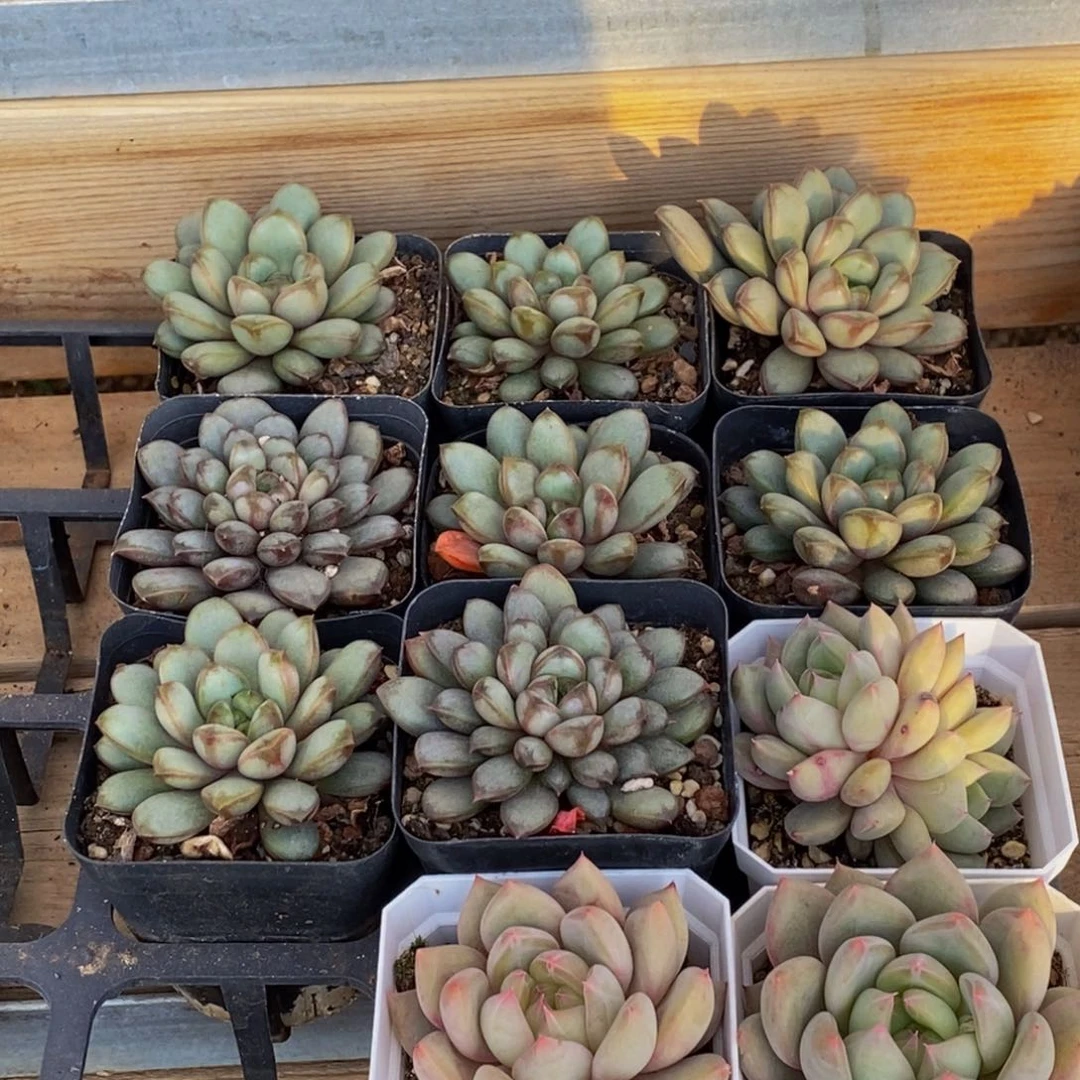 367多人在一起的时候就