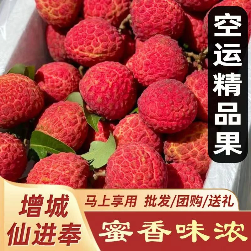 【顺丰空运】广东增城空运仙进奉荔枝10斤装 中果核小不泡水 长沙红星一级批发直发