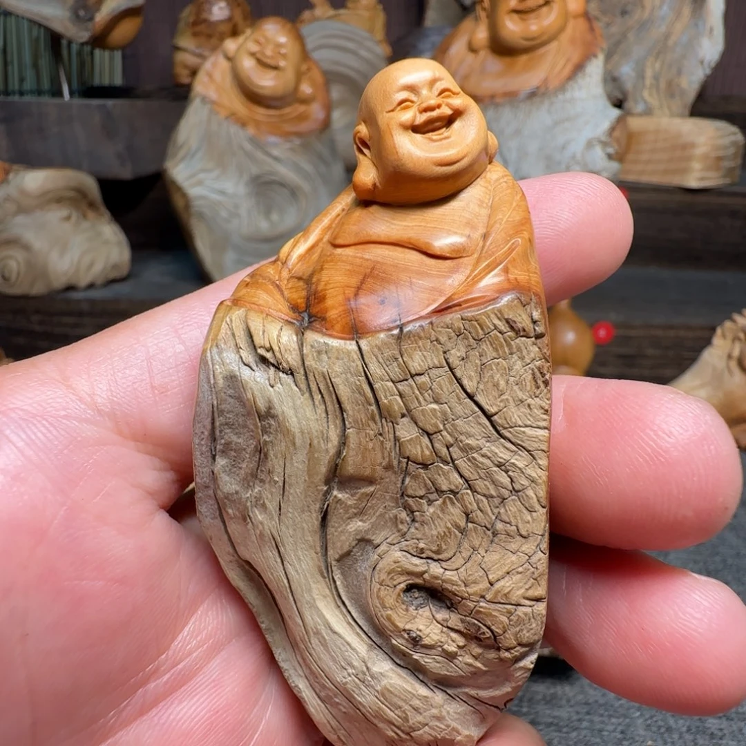 柏木（崖柏）我的小伙伴都在