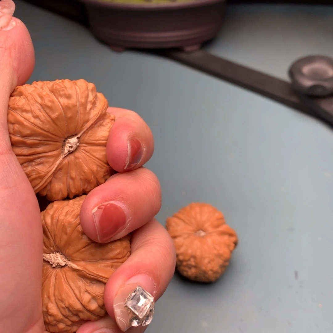 文玩核桃把件南瓜3839