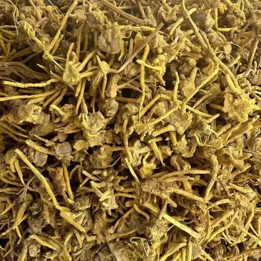 金秋亿草 雪山黄龙草