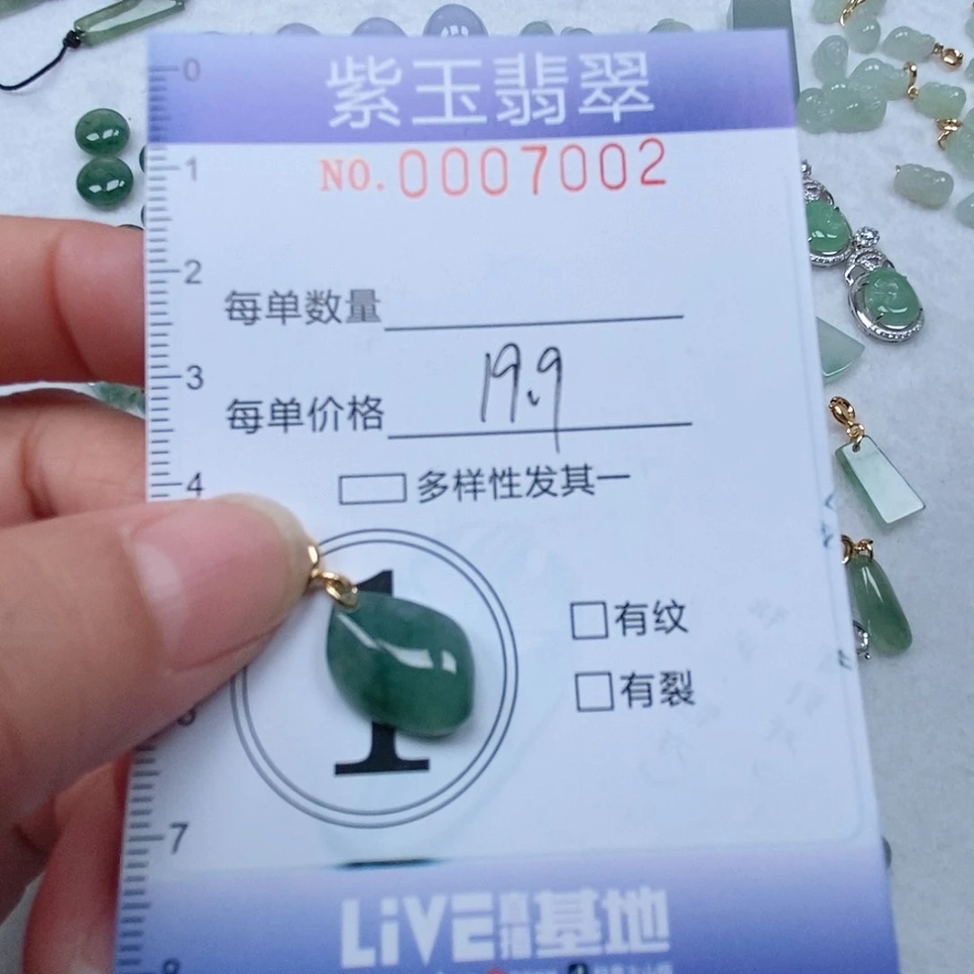 翡翠未镶嵌颈饰飘花随行