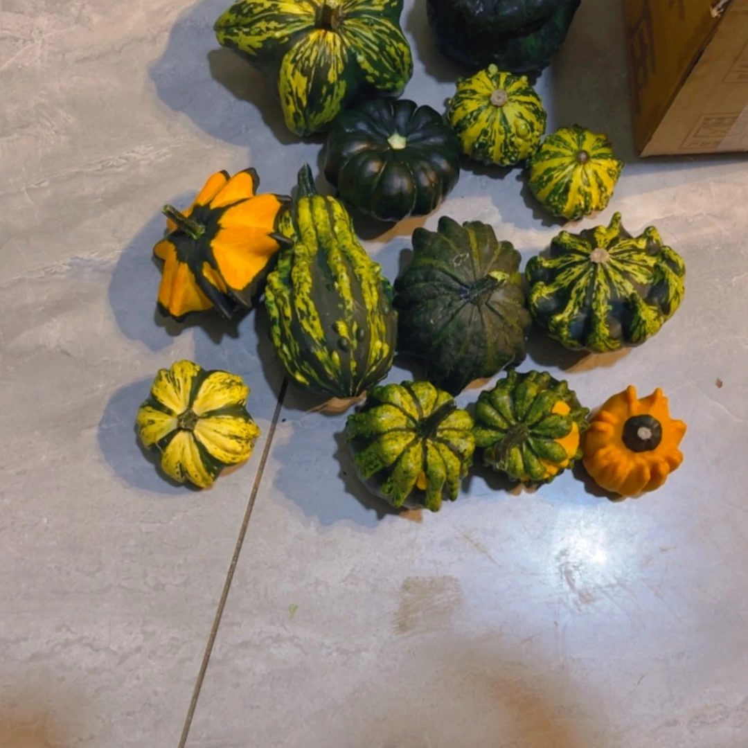 【闪购商品】那****吧哈哈哈哈哈哈哈哈哈哈