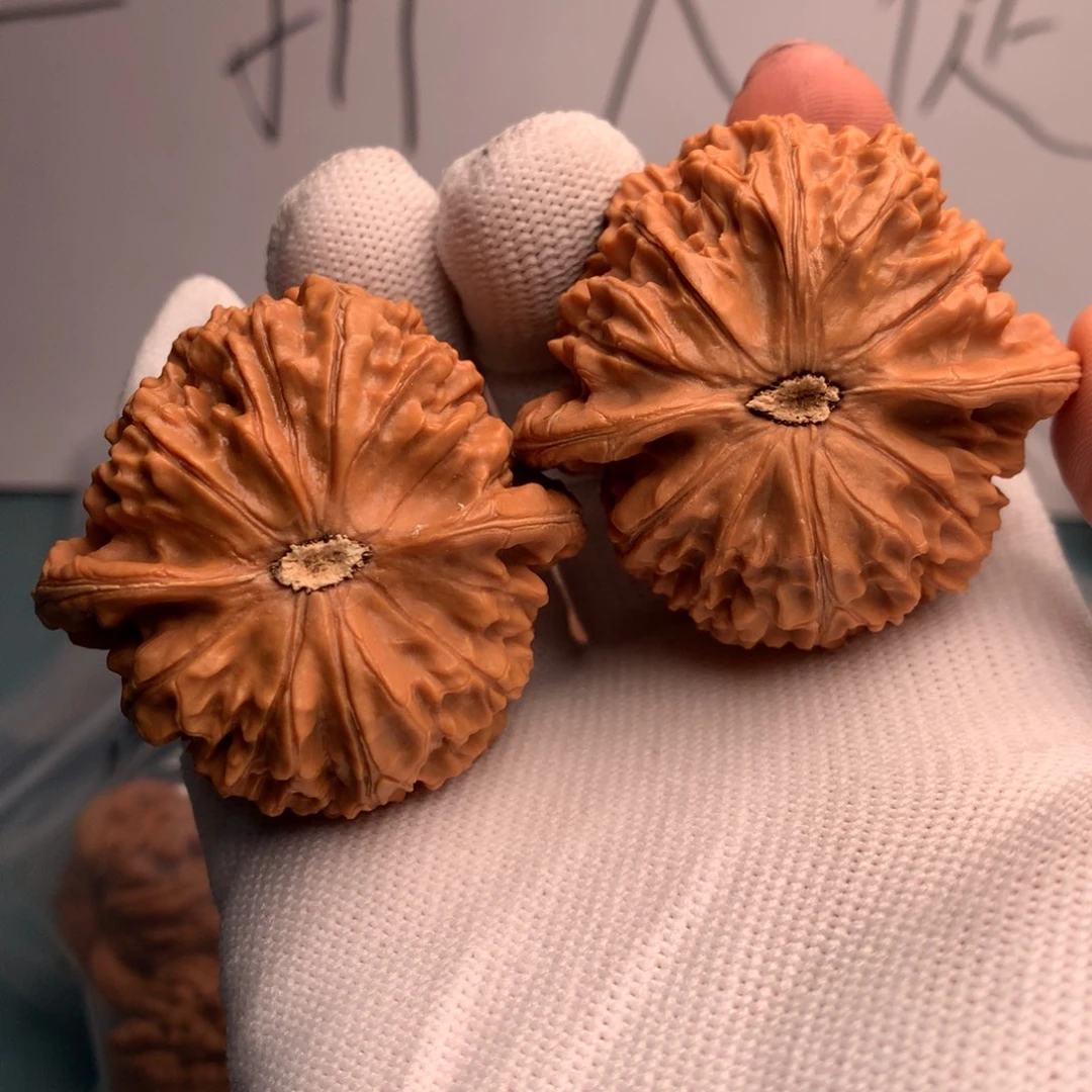 刘***刘金麒麟11号楼四号房间订