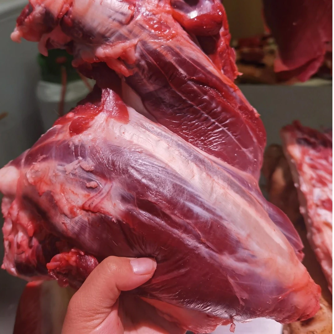 【鲜牛腱肉】清真牛前腱子肉现宰5斤