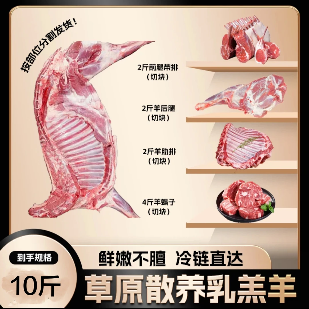 【年货节】新鲜肉质半羊速冻切块羔羊现切%腿排 到手10斤