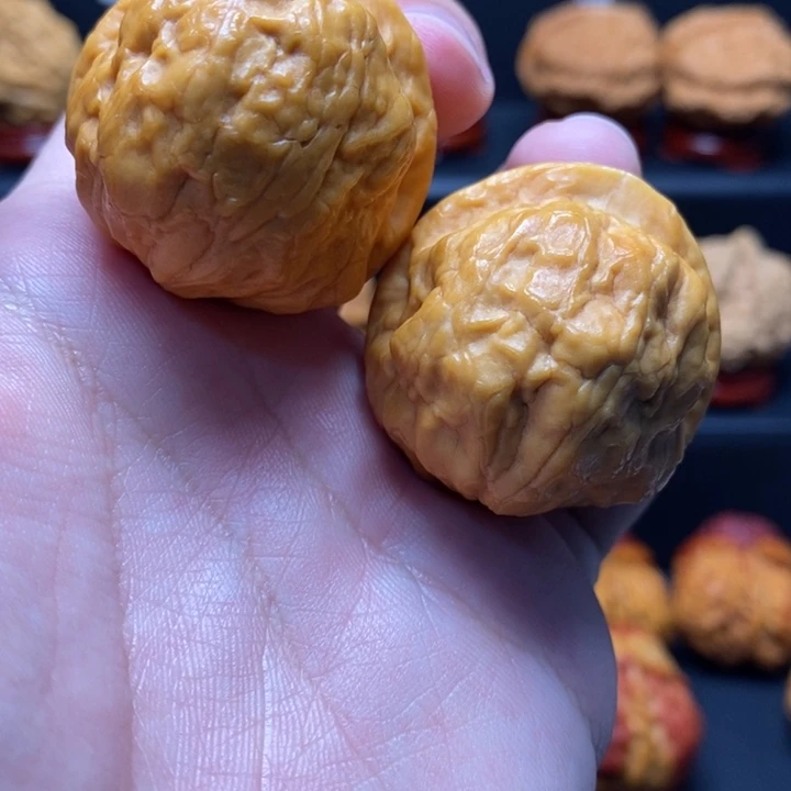 把件文玩核桃42金刚鹦鹉