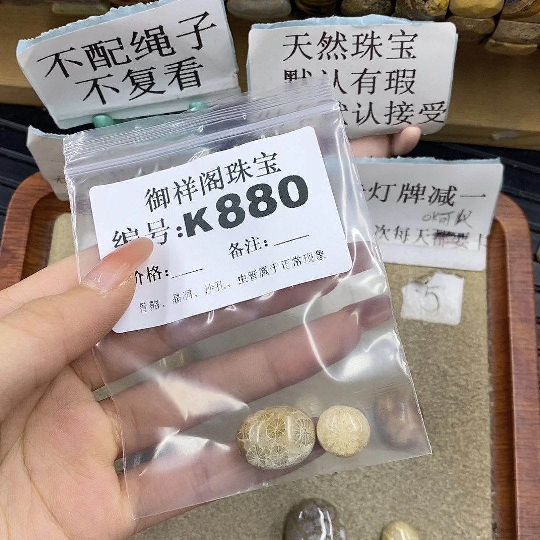 硅化珊瑚（珊瑚玉）未镶嵌颈饰千**.