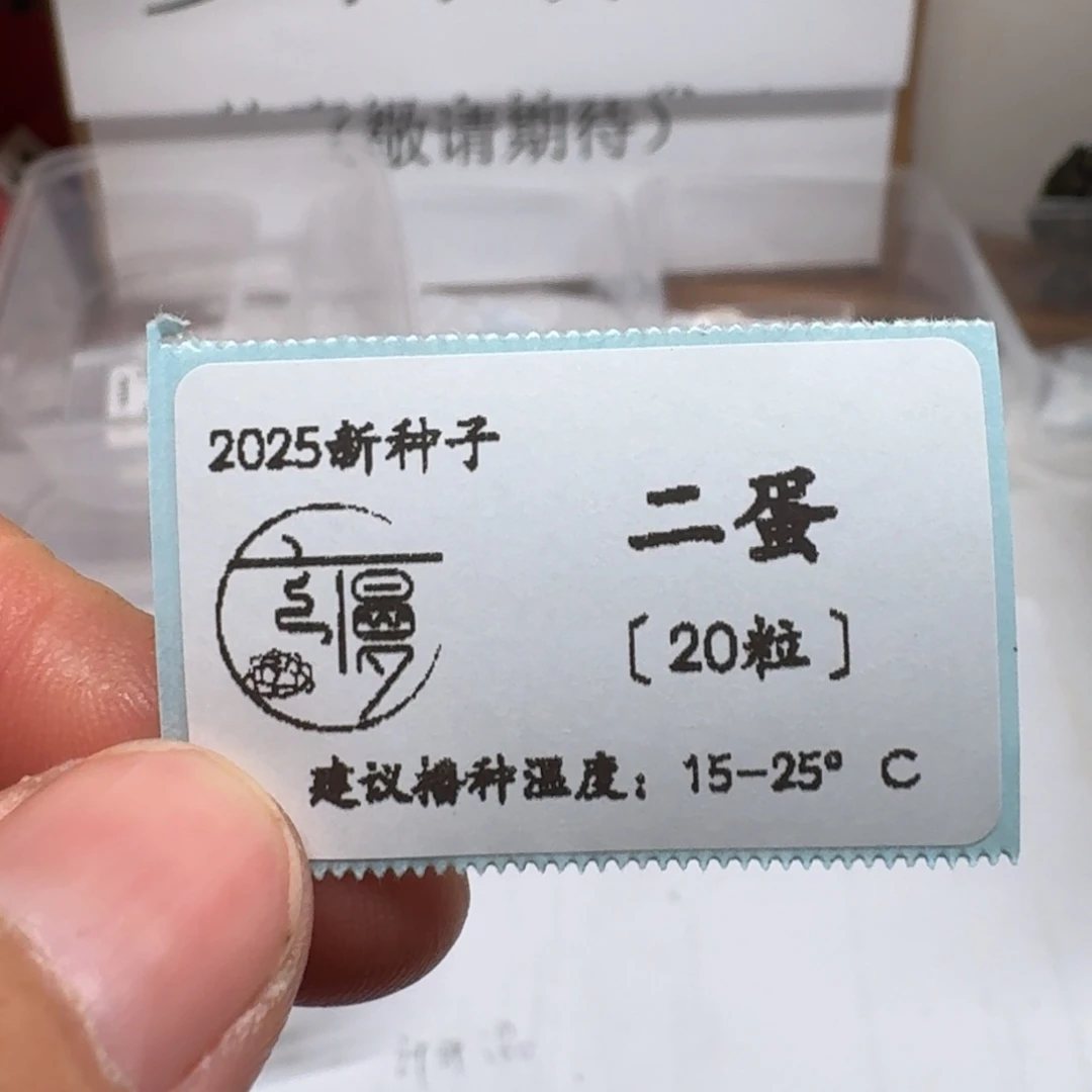 美人奶酪类“二蛋”种子20粒不包出芽率