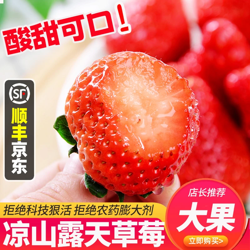 【新鲜采摘】AA3四川大凉山露天种植草莓新鲜水果顺丰京东包邮2盒