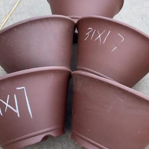 110/5。        31-17