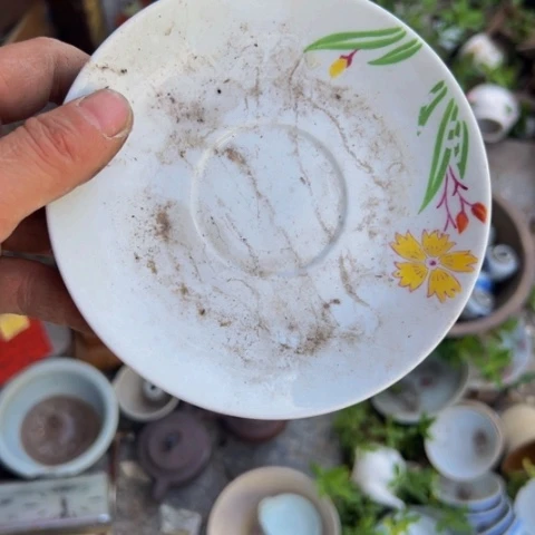 牡****核桃木/黑胡桃（胡桃木）