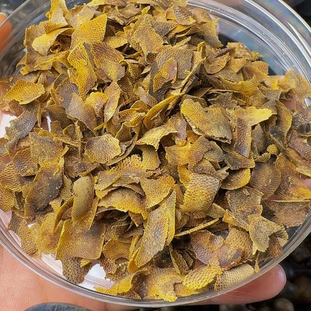 沉香手串J*奕白棋切片100克分开装3