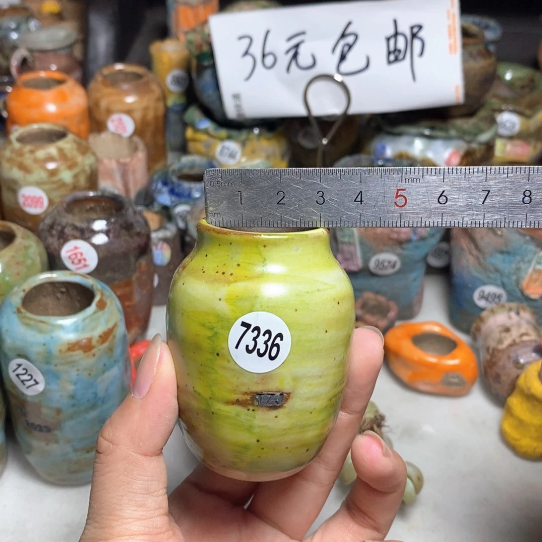 拍5送一个小礼物