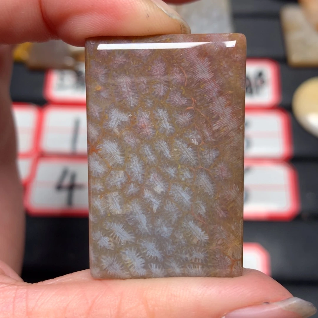 【闪购商品】未镶嵌颈饰硅化玉许**欢