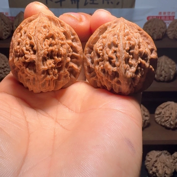 老***老秦岭野生无名核桃39福利