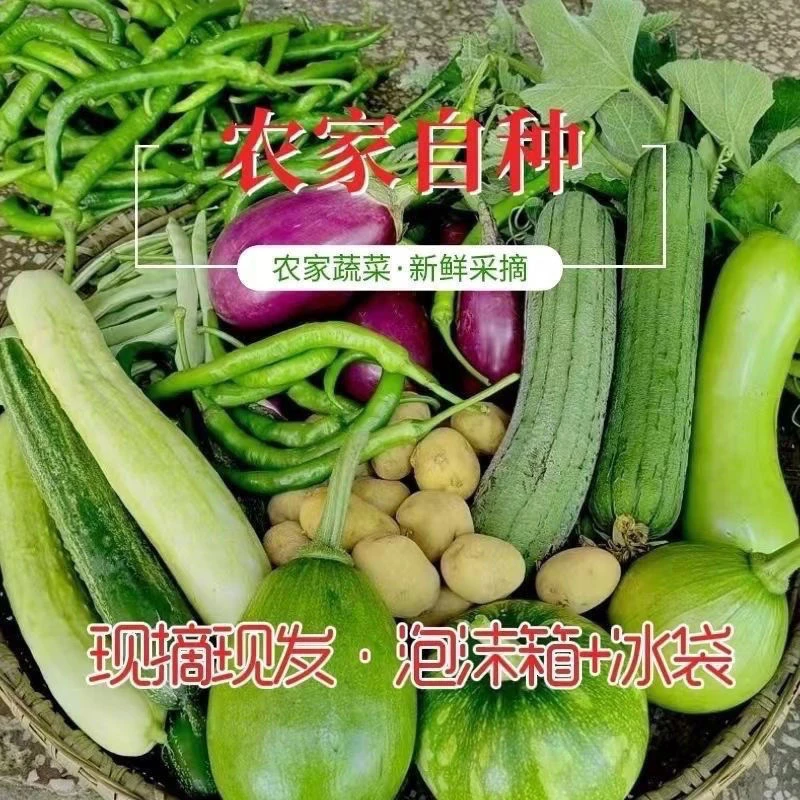 代购农家菜园时令当季新鲜菜蔬菜组合套餐保鲜发货