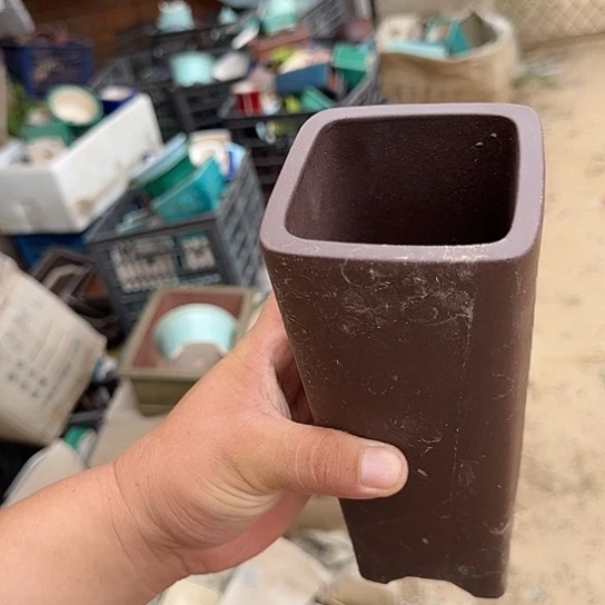 我想说什么我会和他们